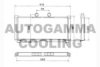 SUZUK 1660020C02 Radiator, engine cooling